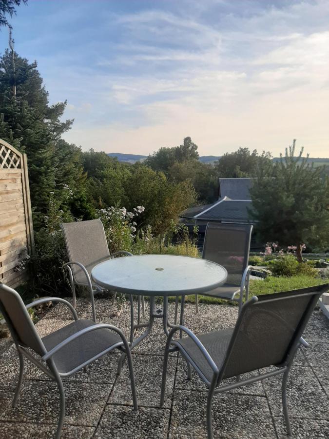 Haus Mit Ausblick 3 Schlafzimmer Wilkau-Hasslau Bagian luar foto